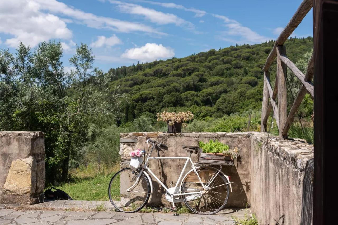 B&B Le Torri Di Firenze Fiesole Bagian luar foto