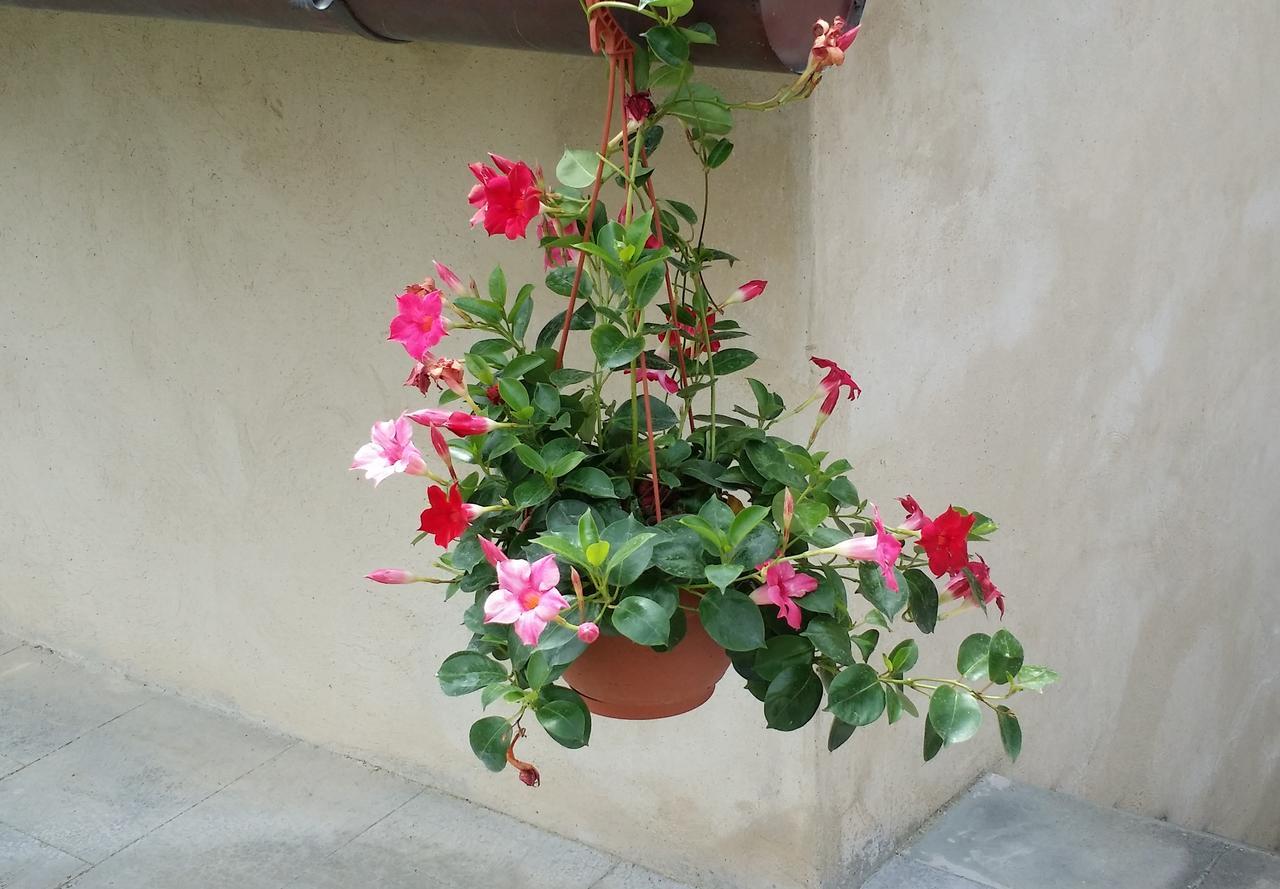B&B Le Torri Di Firenze Fiesole Bagian luar foto