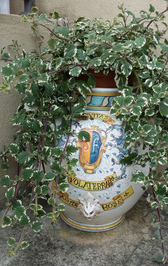 B&B Le Torri Di Firenze Fiesole Bagian luar foto